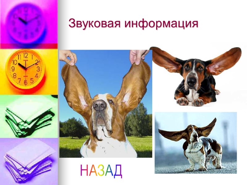 Звуковая информация НАЗАД